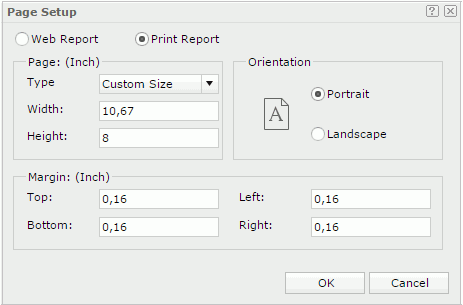 Page Setup dialog - Print Report